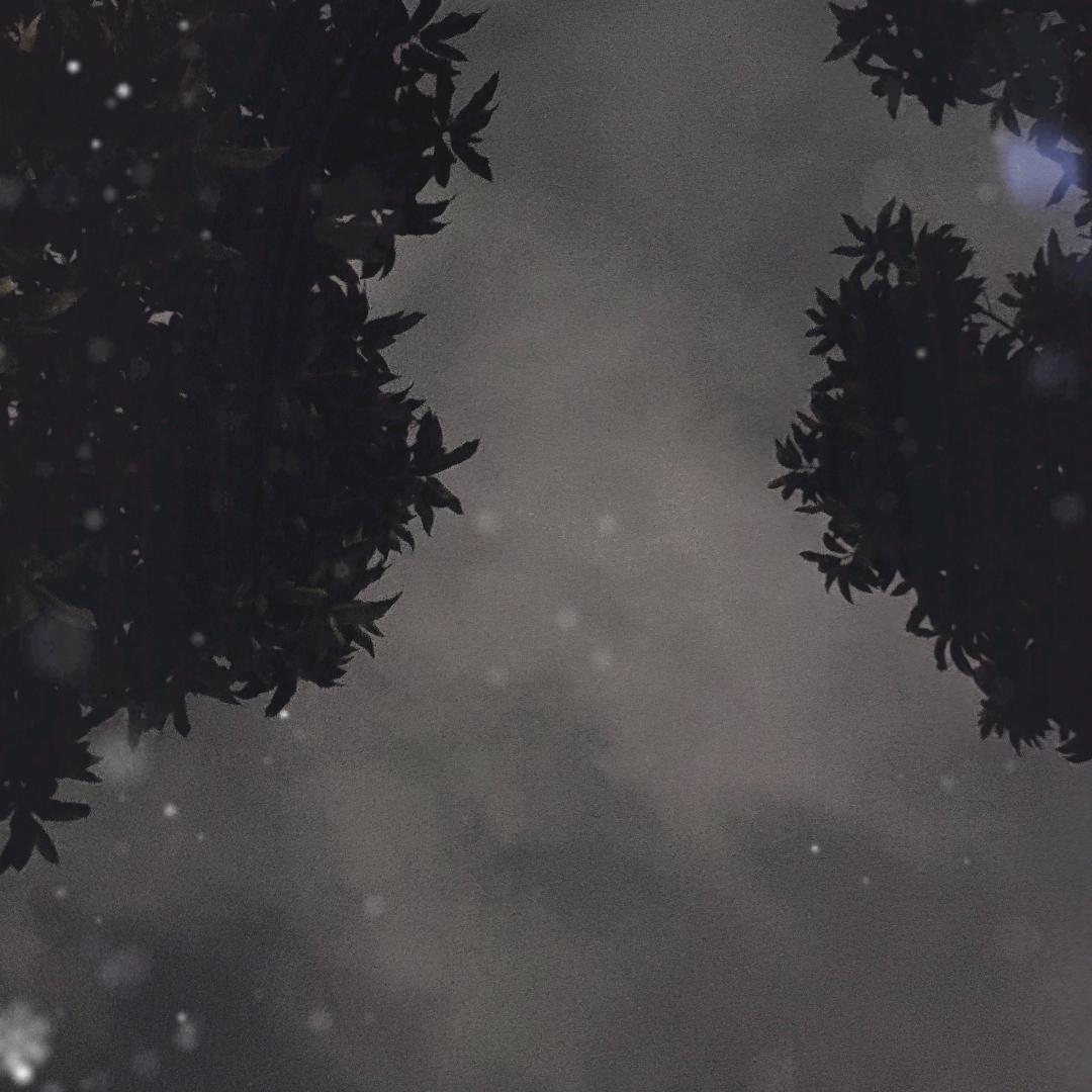 卢哥