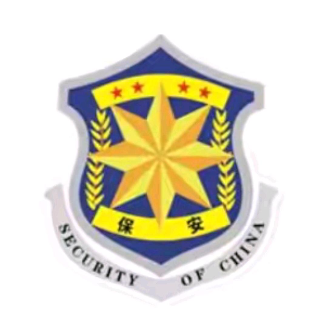 陕西中秦盾保安服务有限责任公司