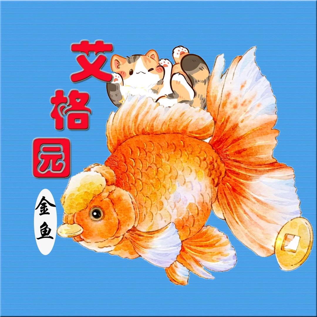 艾格园金鱼