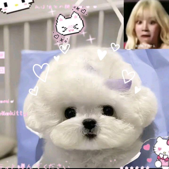 念念爱玩  破1万粉🌟