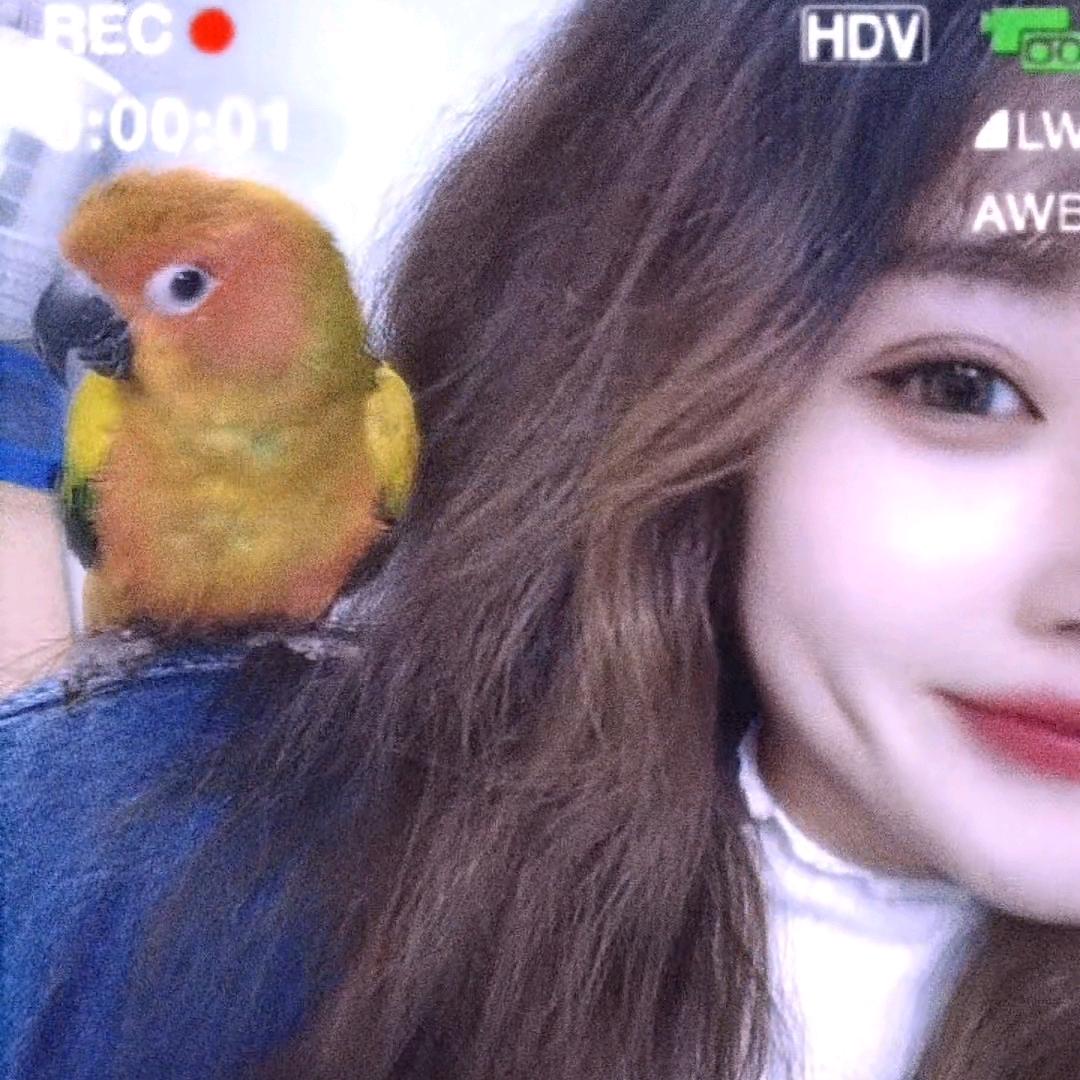 东北人在厦门♡五杯姐