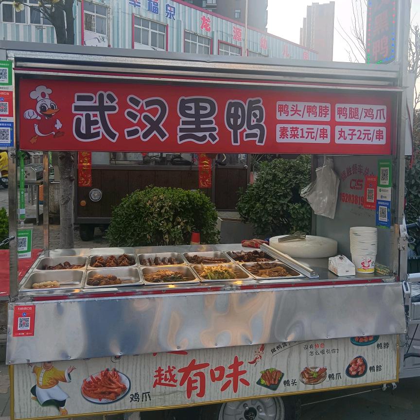 南阳～武汉黑鸭