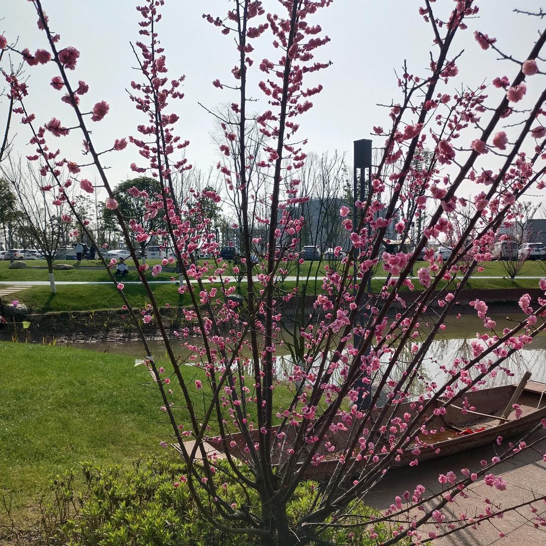 ㊗️安🍎逸🇨🇳