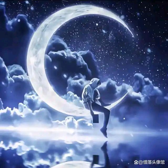 不爱吃鱼的猫