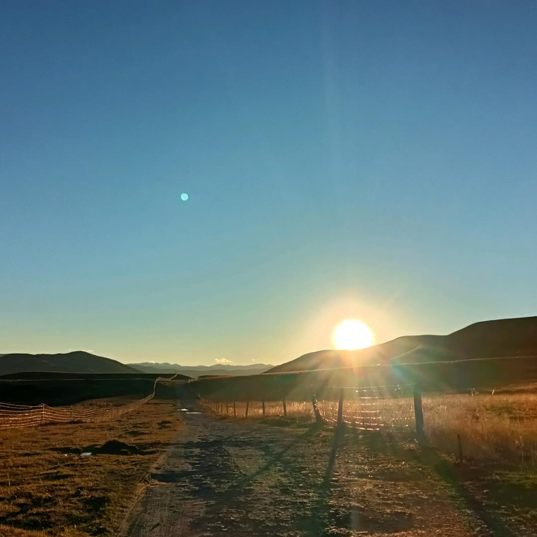 🔅