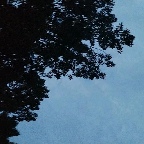 孙诗函