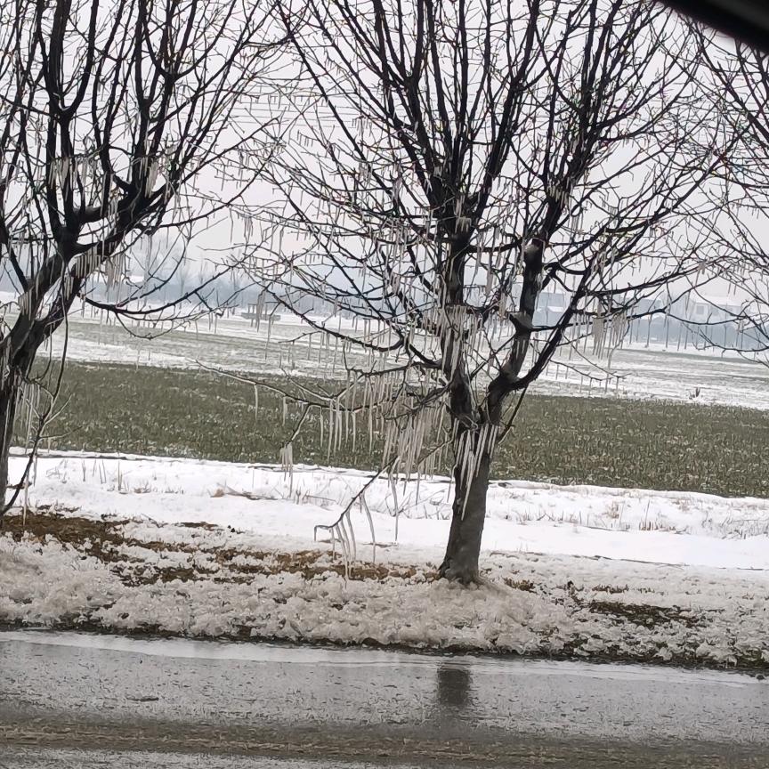 生活不易好好努力