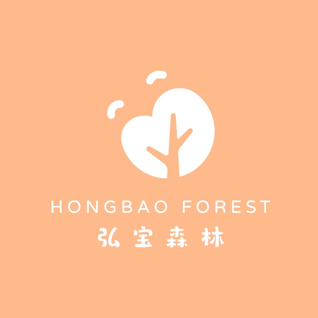 洛阳弘宝森林早教托育（洛龙园）