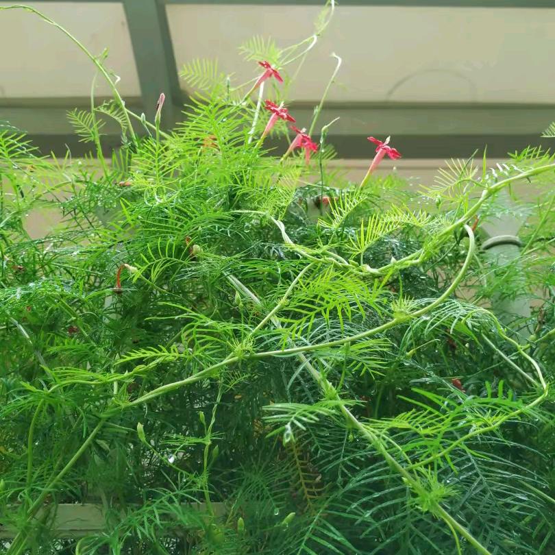 删繁就简