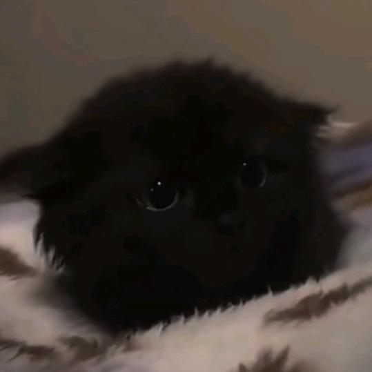 微魉