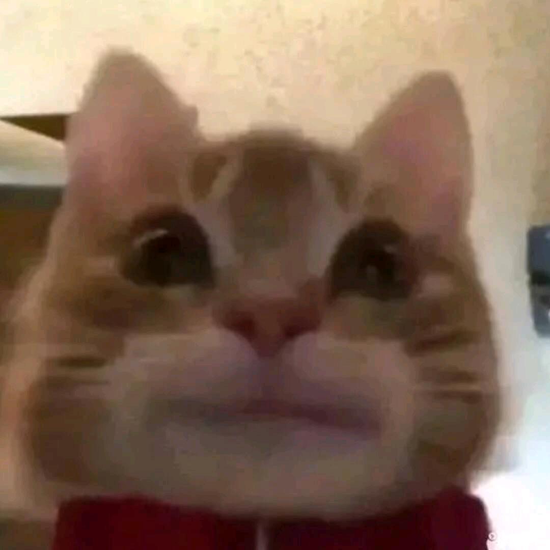 AJ