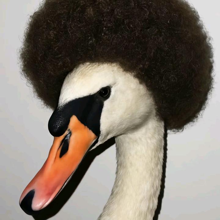 lkkdddd