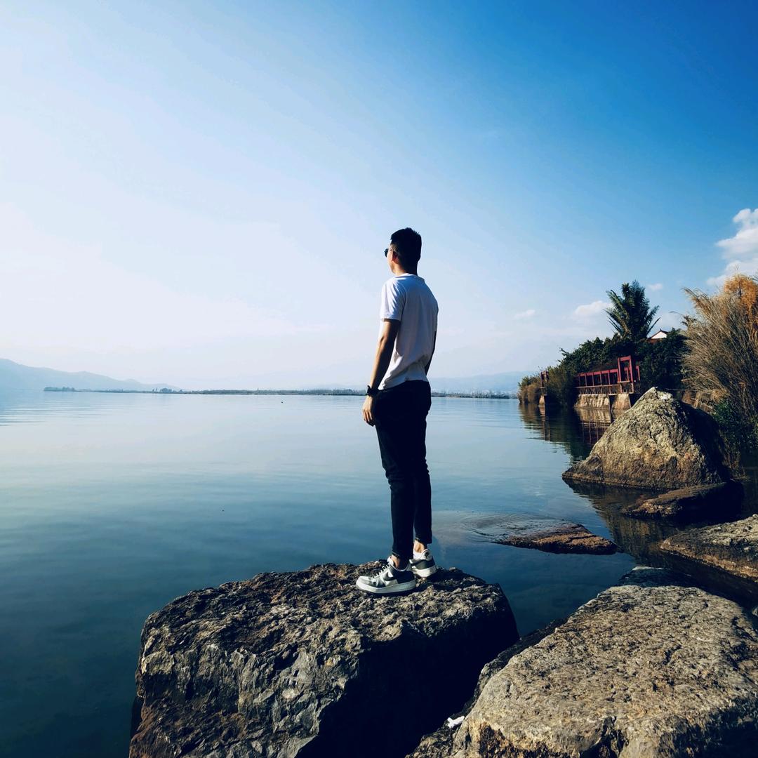 没有草原的野马💥