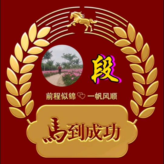 壹网情深
