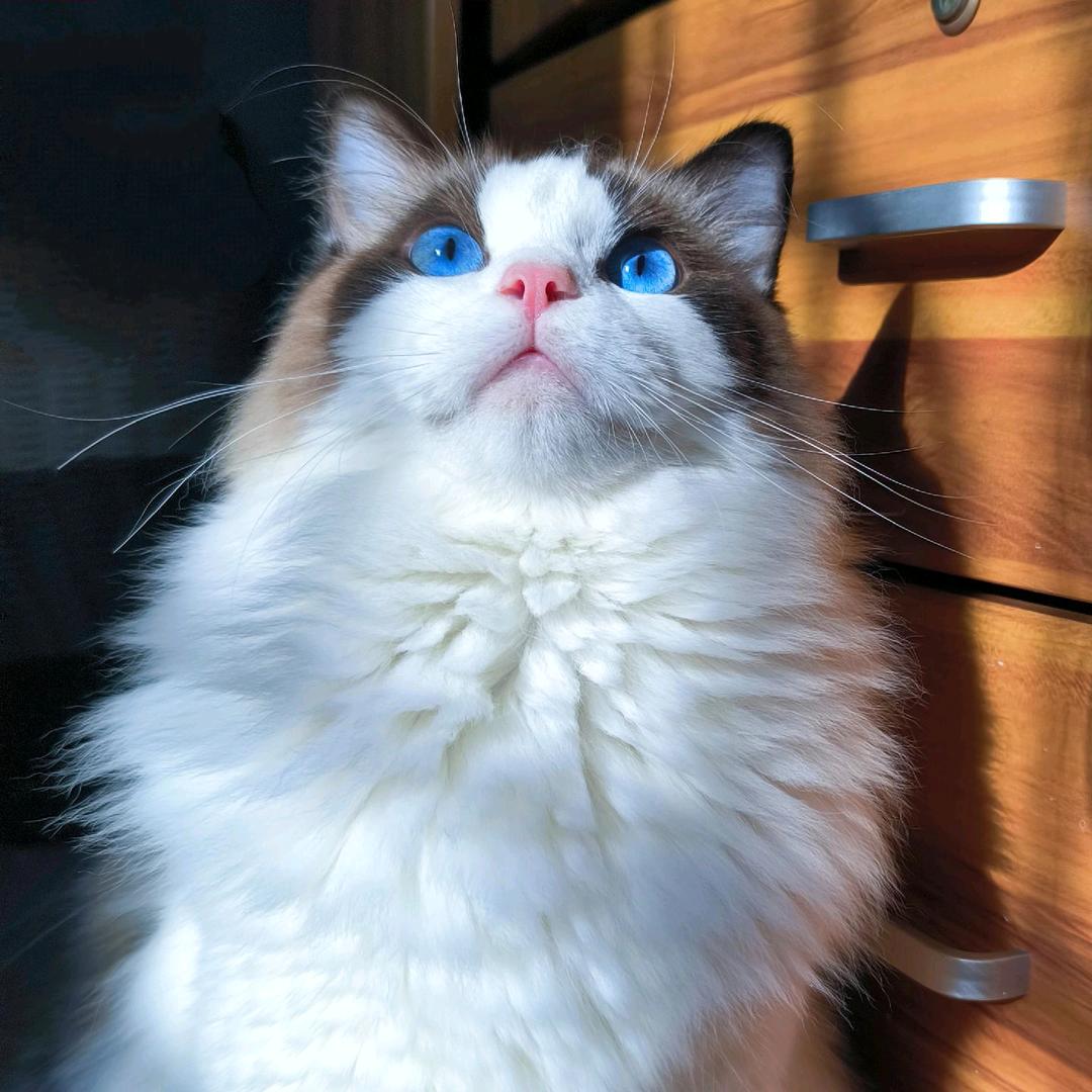 風筝kazamattttour（用户版）