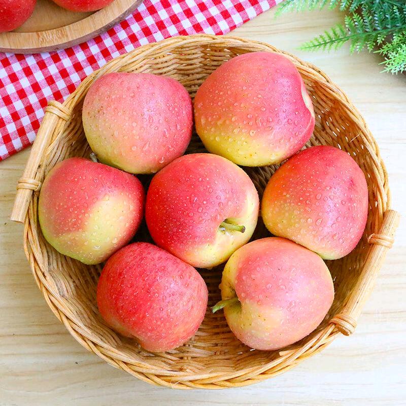 荥阳市现刚水果店（个体工商户）