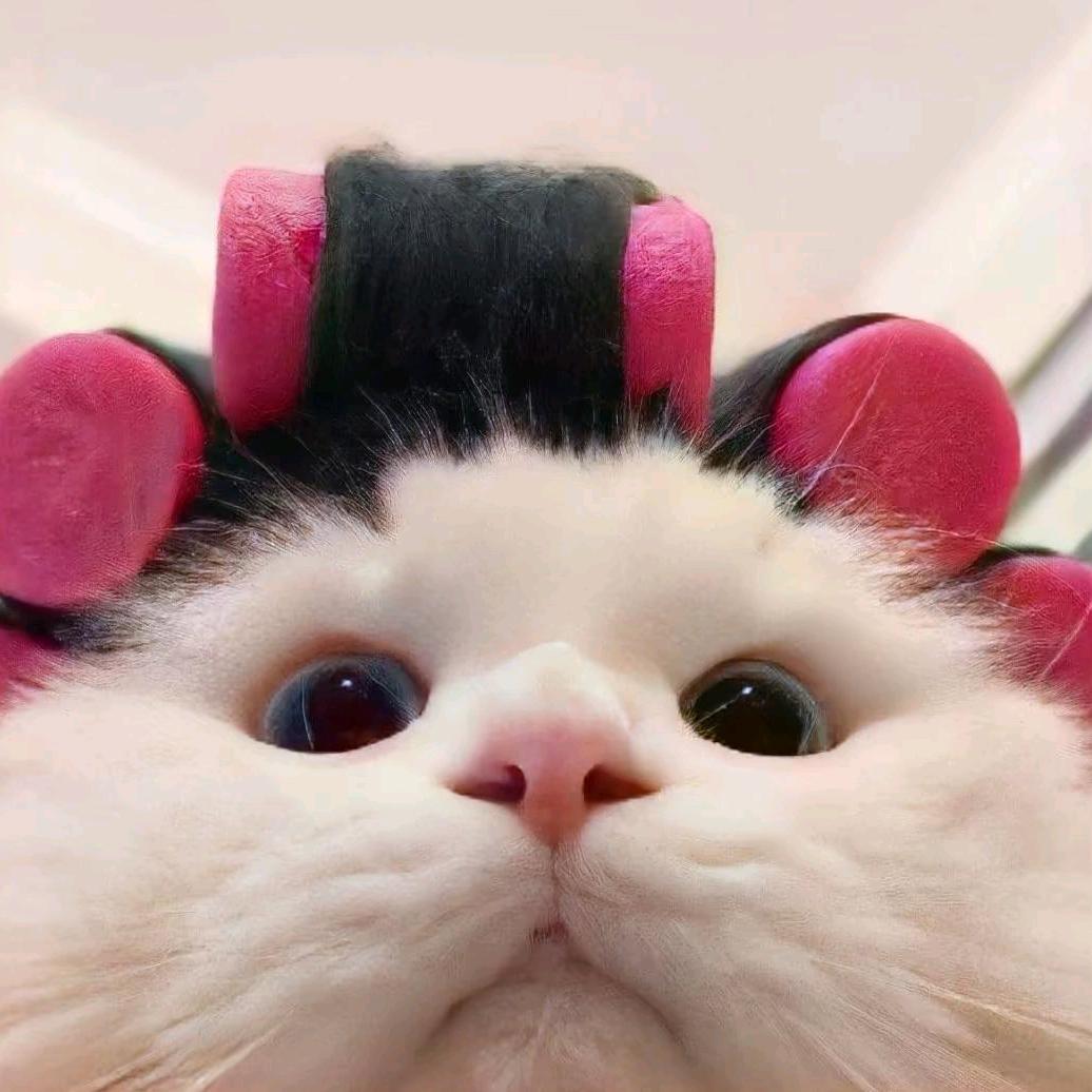 缘为冰🐑