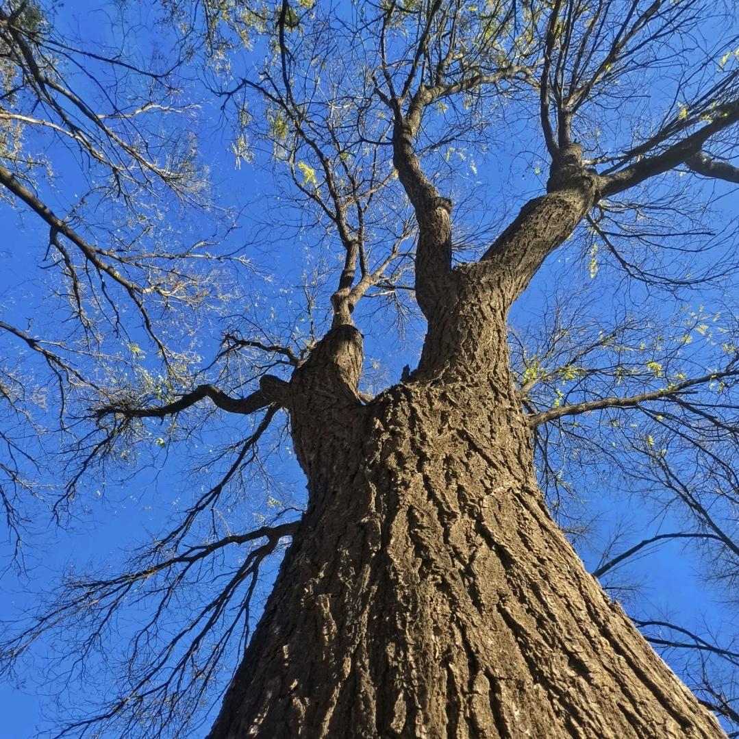 ￴ ￴ ￴￴￴￴ ￴￴ ￴￴