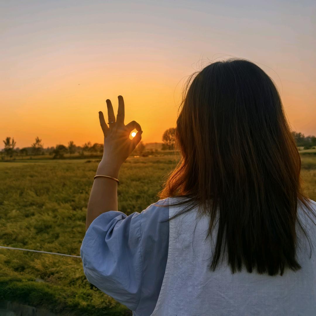 毛球是只小泰迪