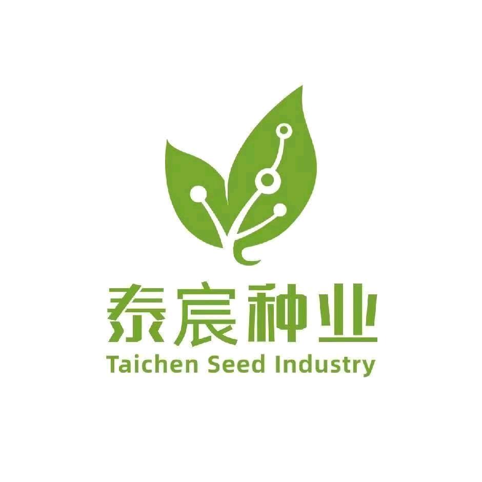 @张汉卿