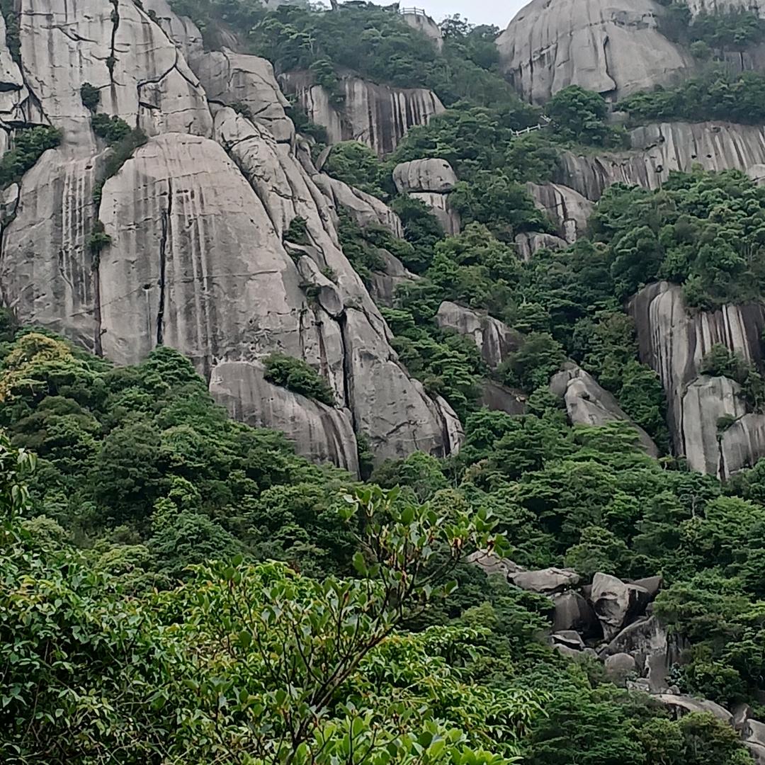 明天会更好