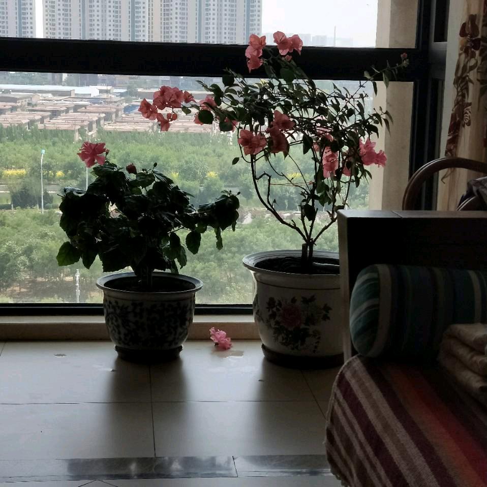老爷子