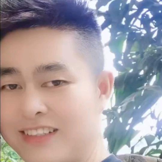 杨