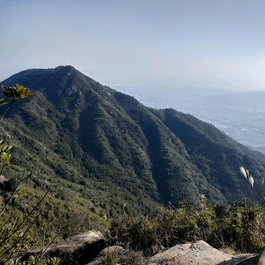 铖钺机电