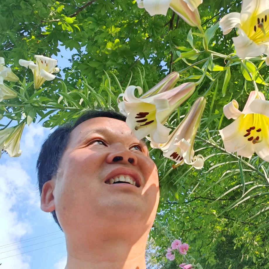 秦汉视点