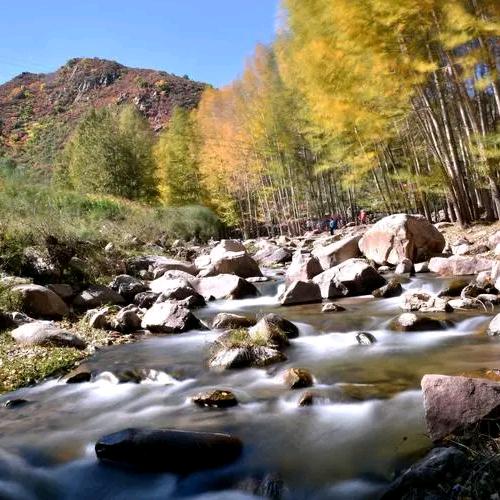 回收二手老娘们儿