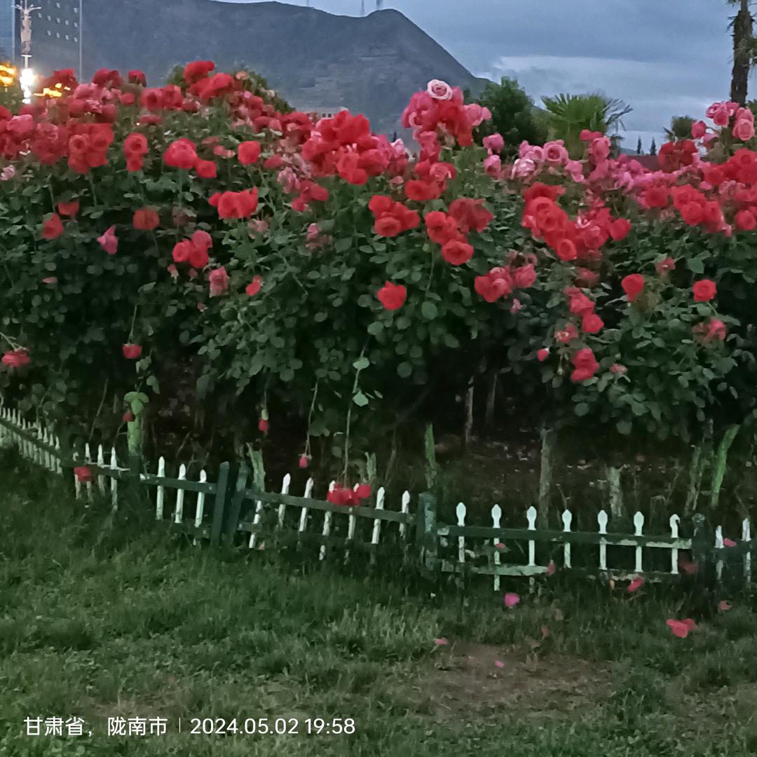 前程似锦666