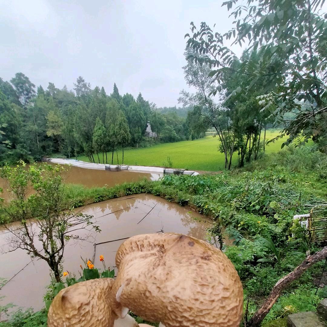 简简单单好运连连