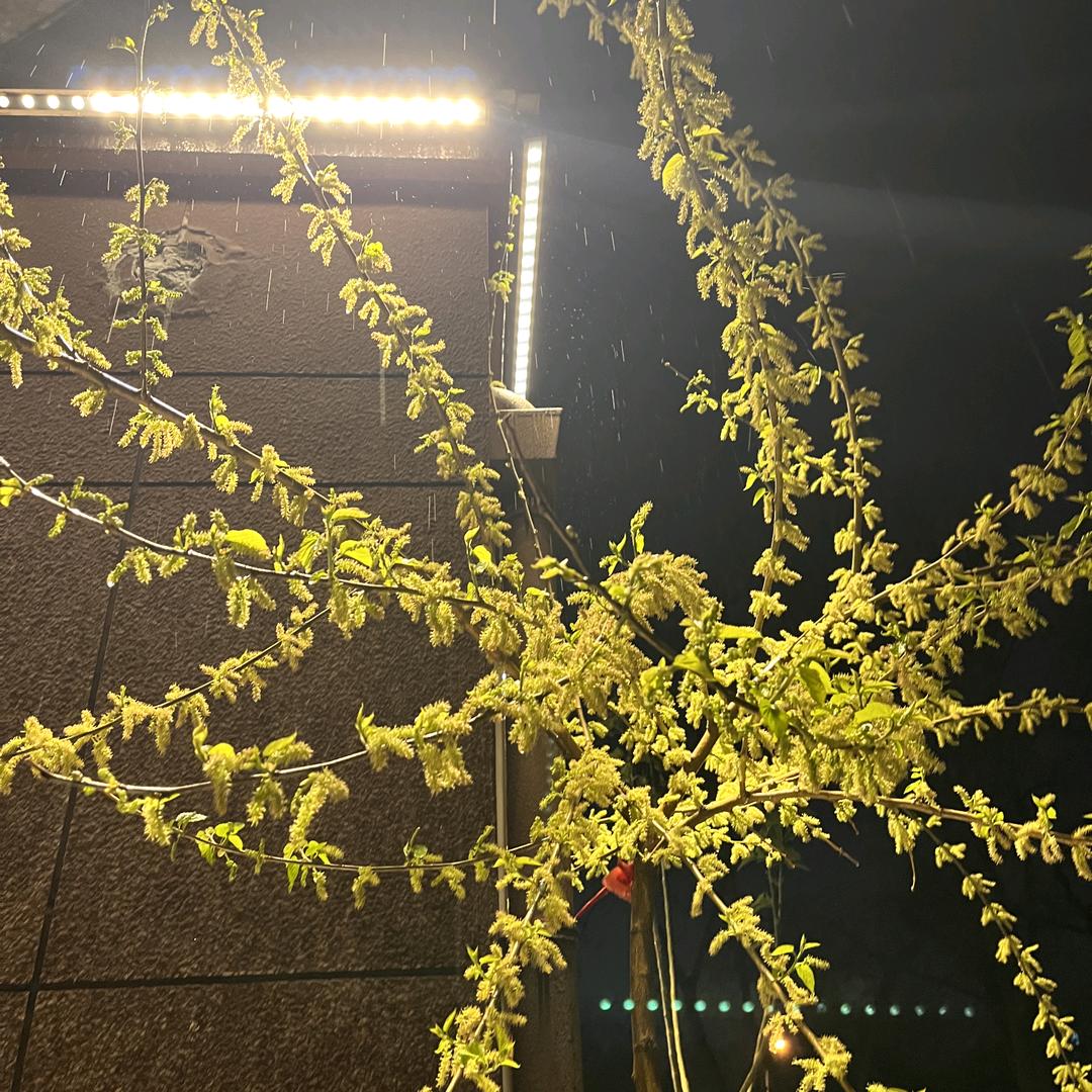 洒脱点