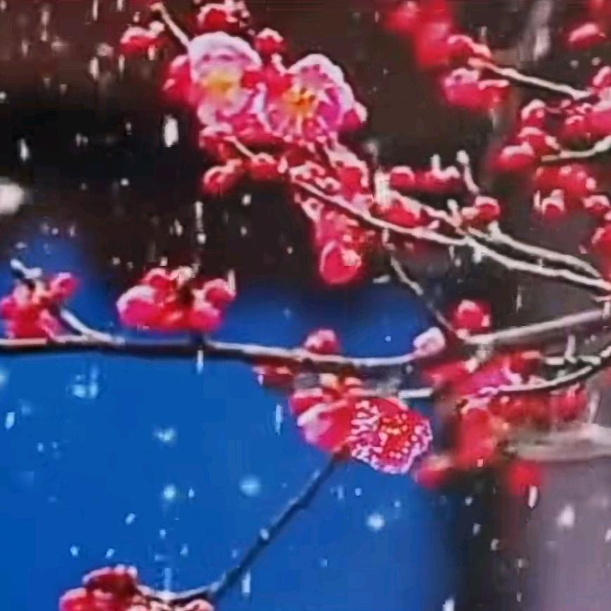 梅花赞