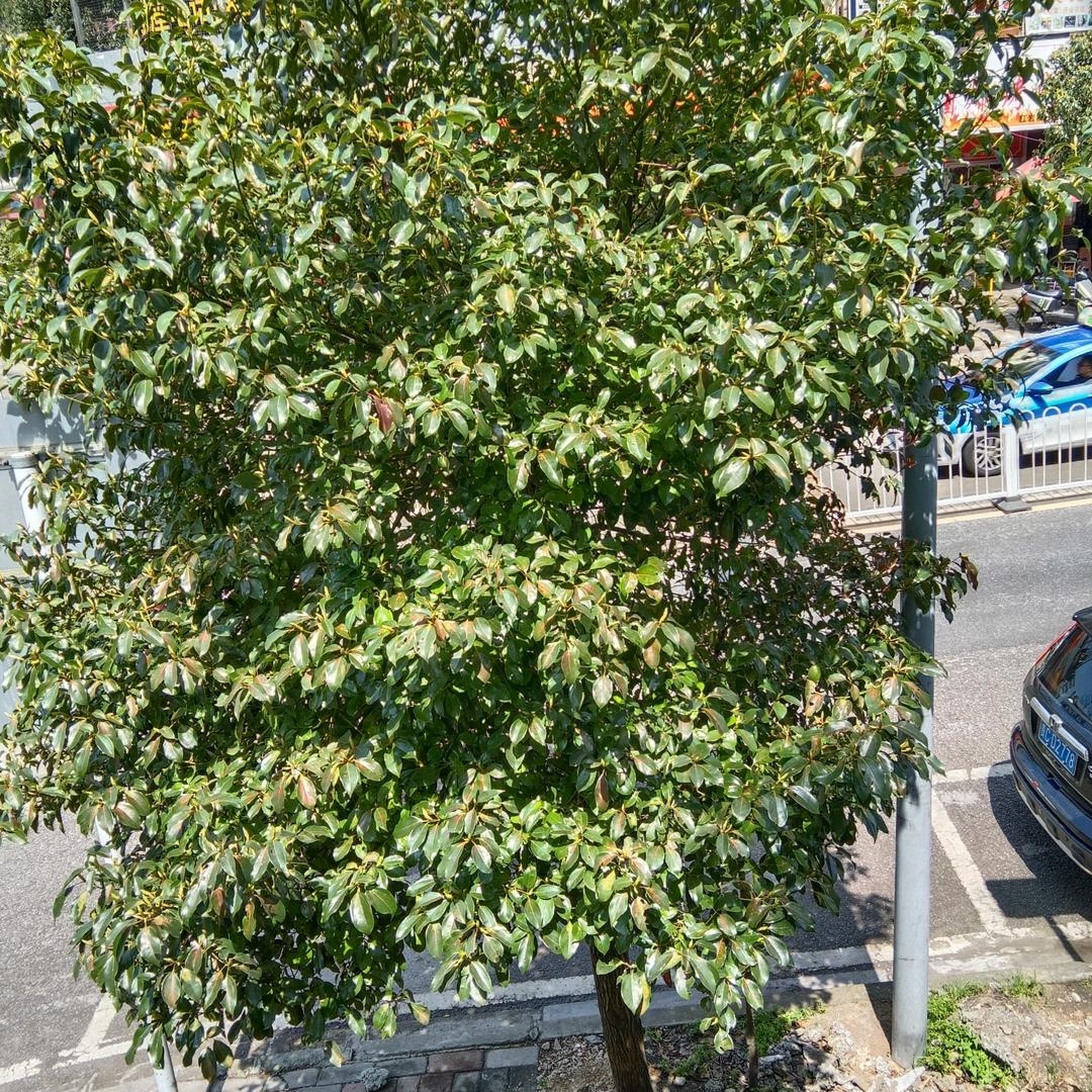 我是一个幸福的人