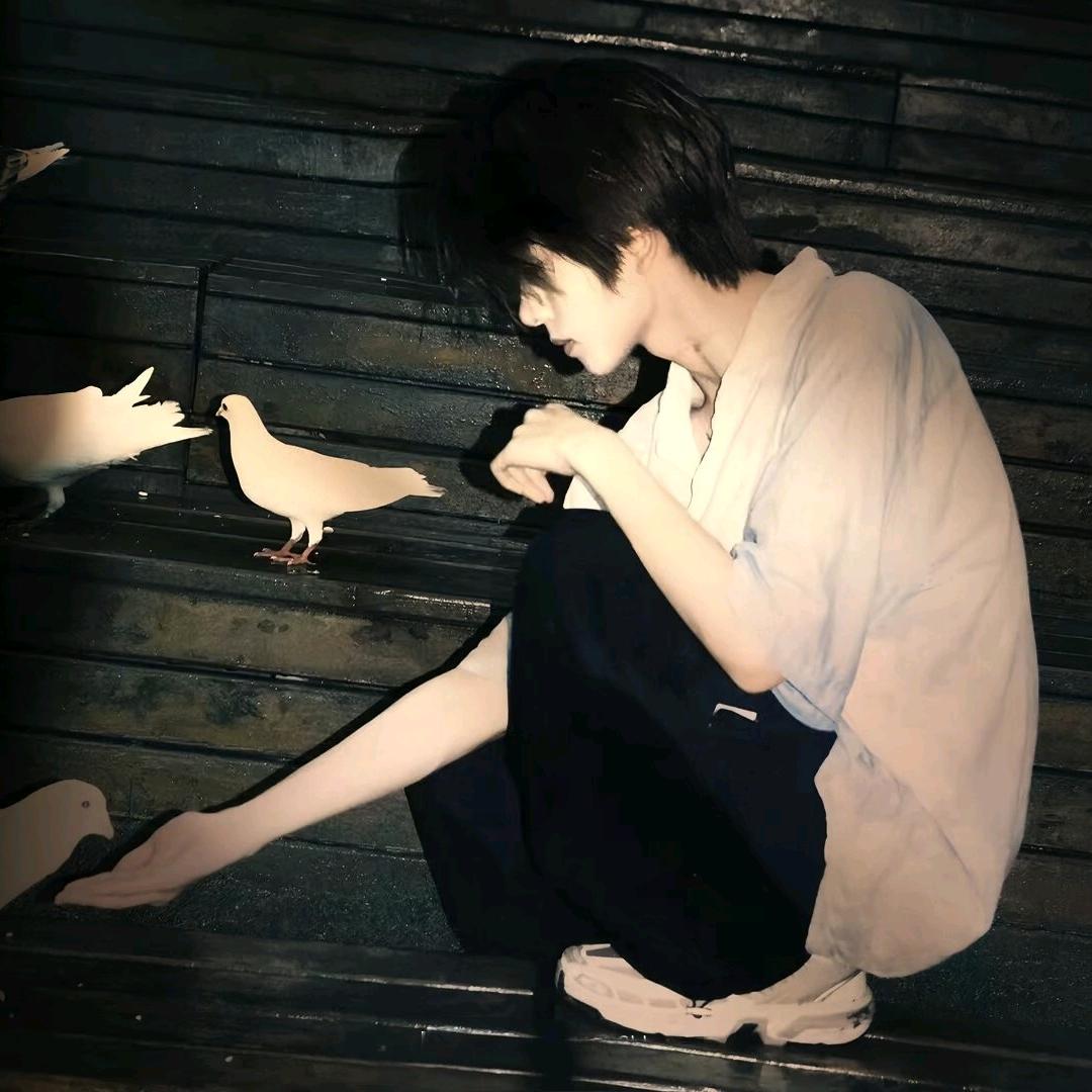 桉染