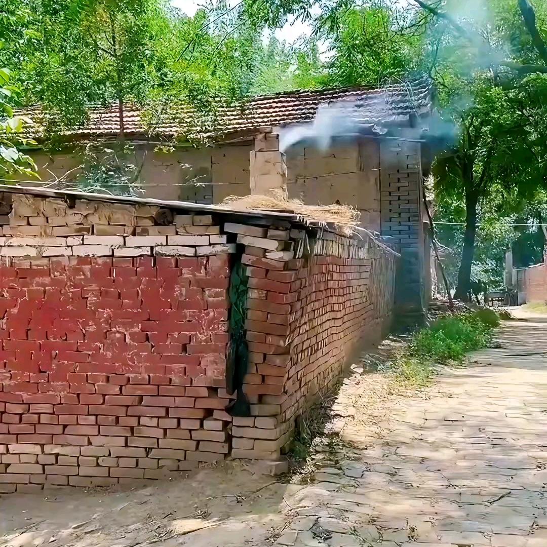 小李同学