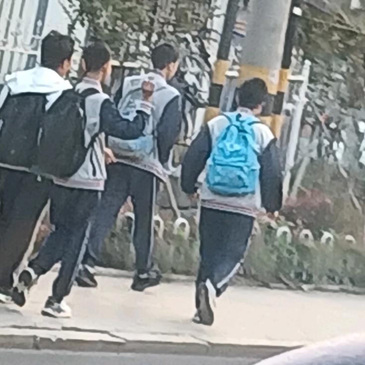 海盛体育宫导  （背刺老李）
