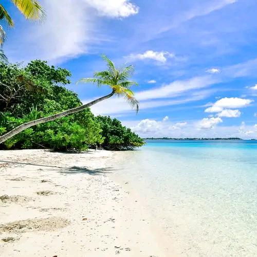 米奇宝外贸鞋业