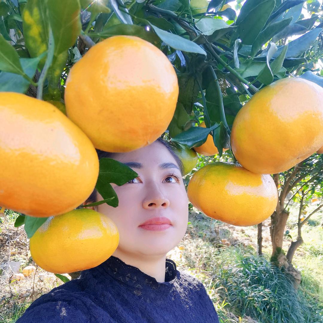 橙子姐