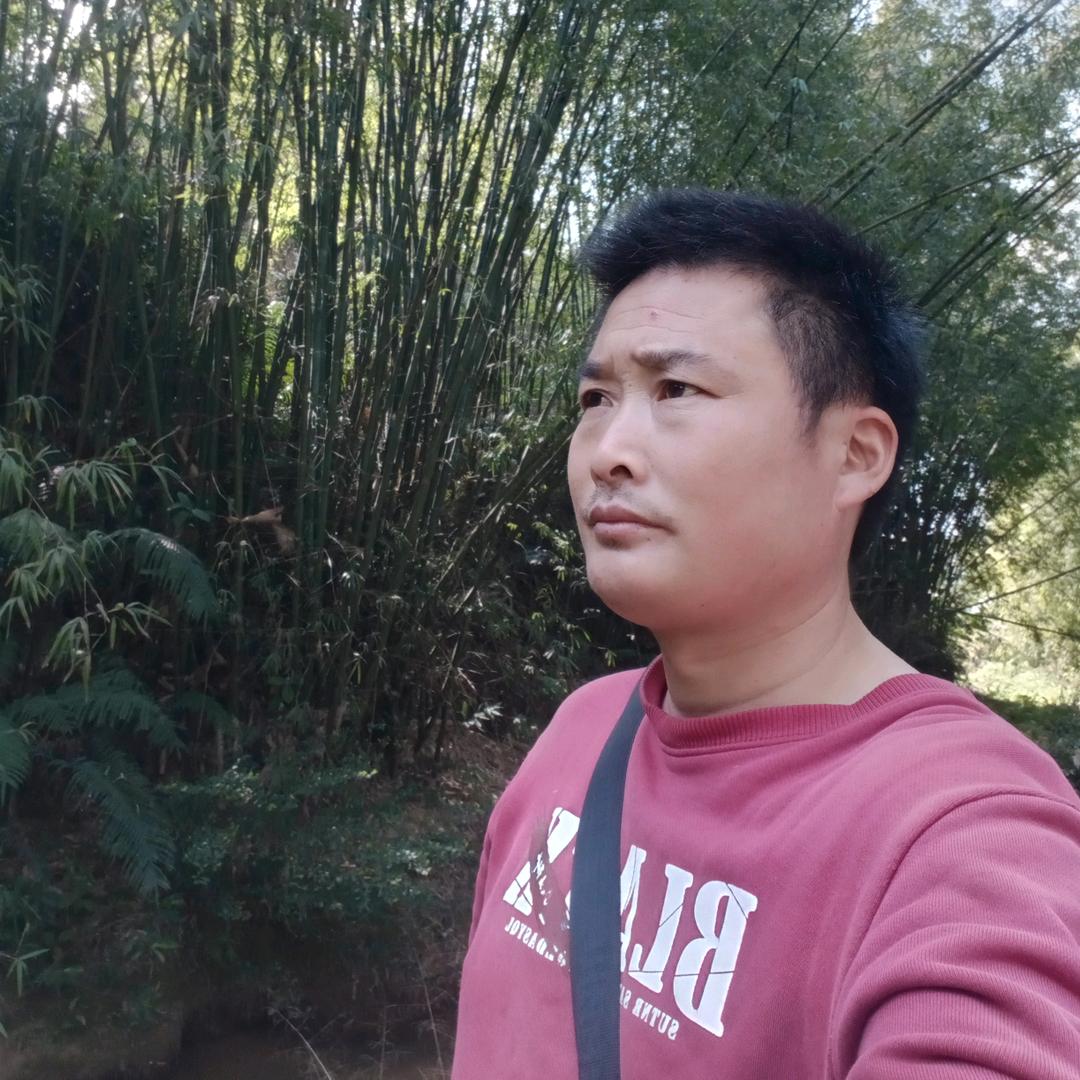 顺其自然