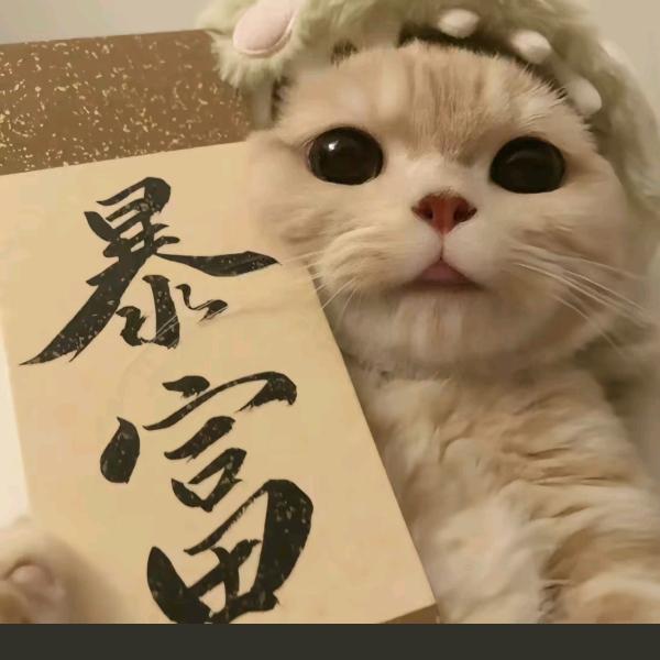 姗姗来迟