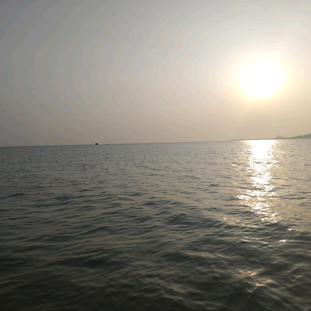 人在最笨的时候什么都要问个清楚.