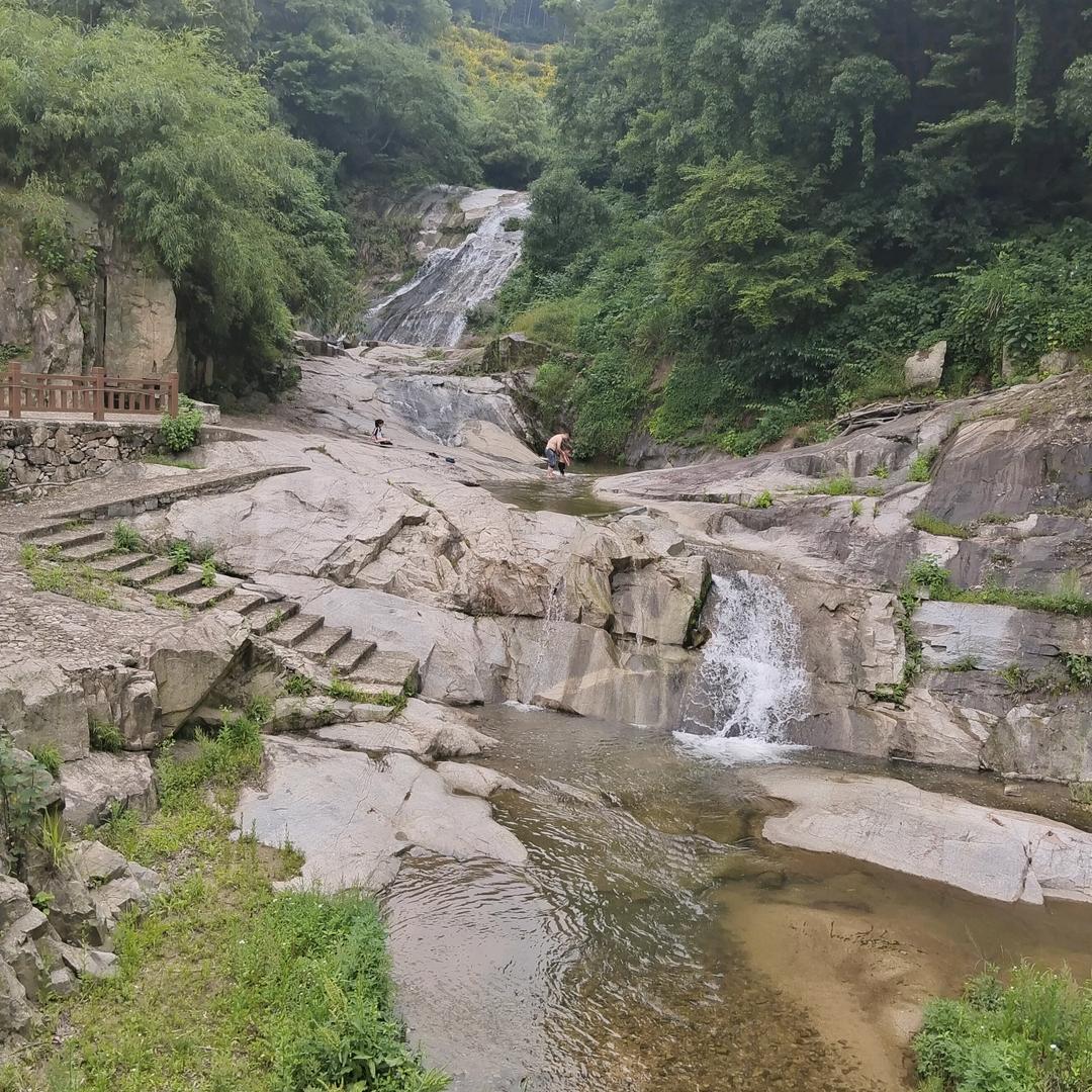 海阔凭鱼跃，天高任鸟飞