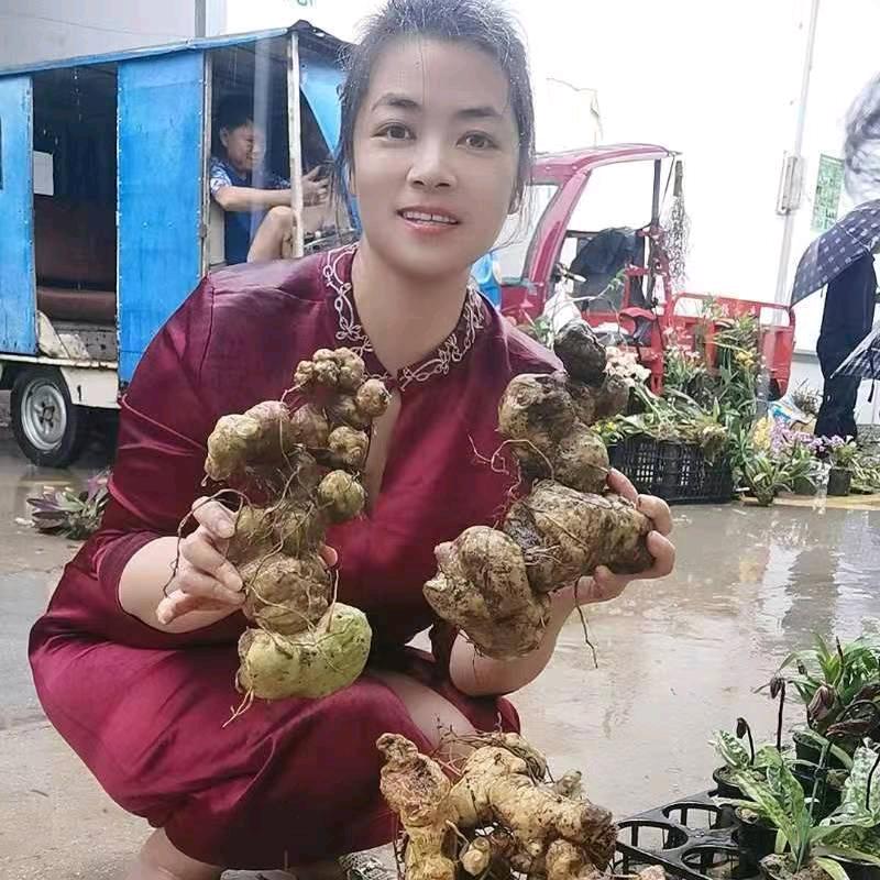 车月芳滋补养生专营店