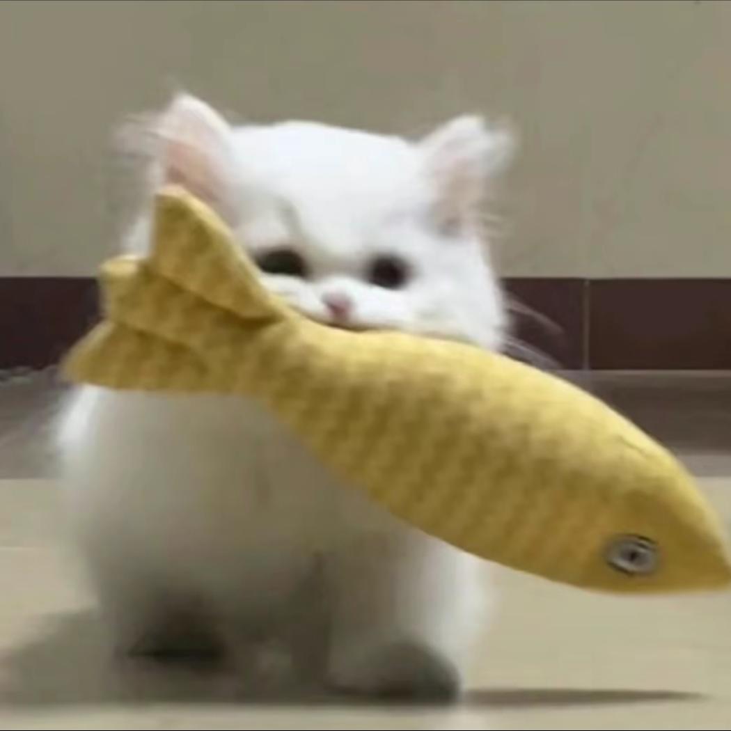 悲伤普忒头