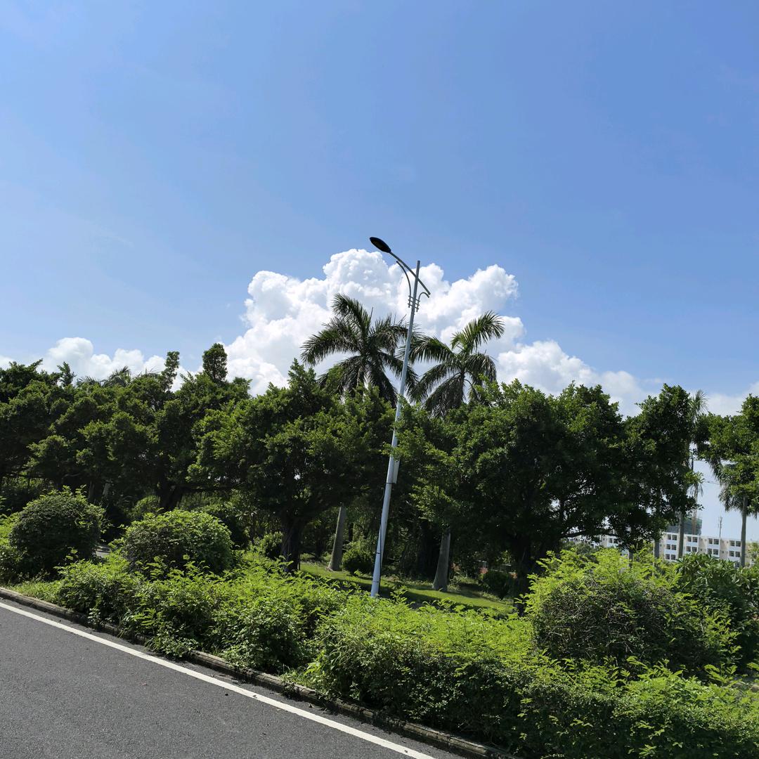 張R