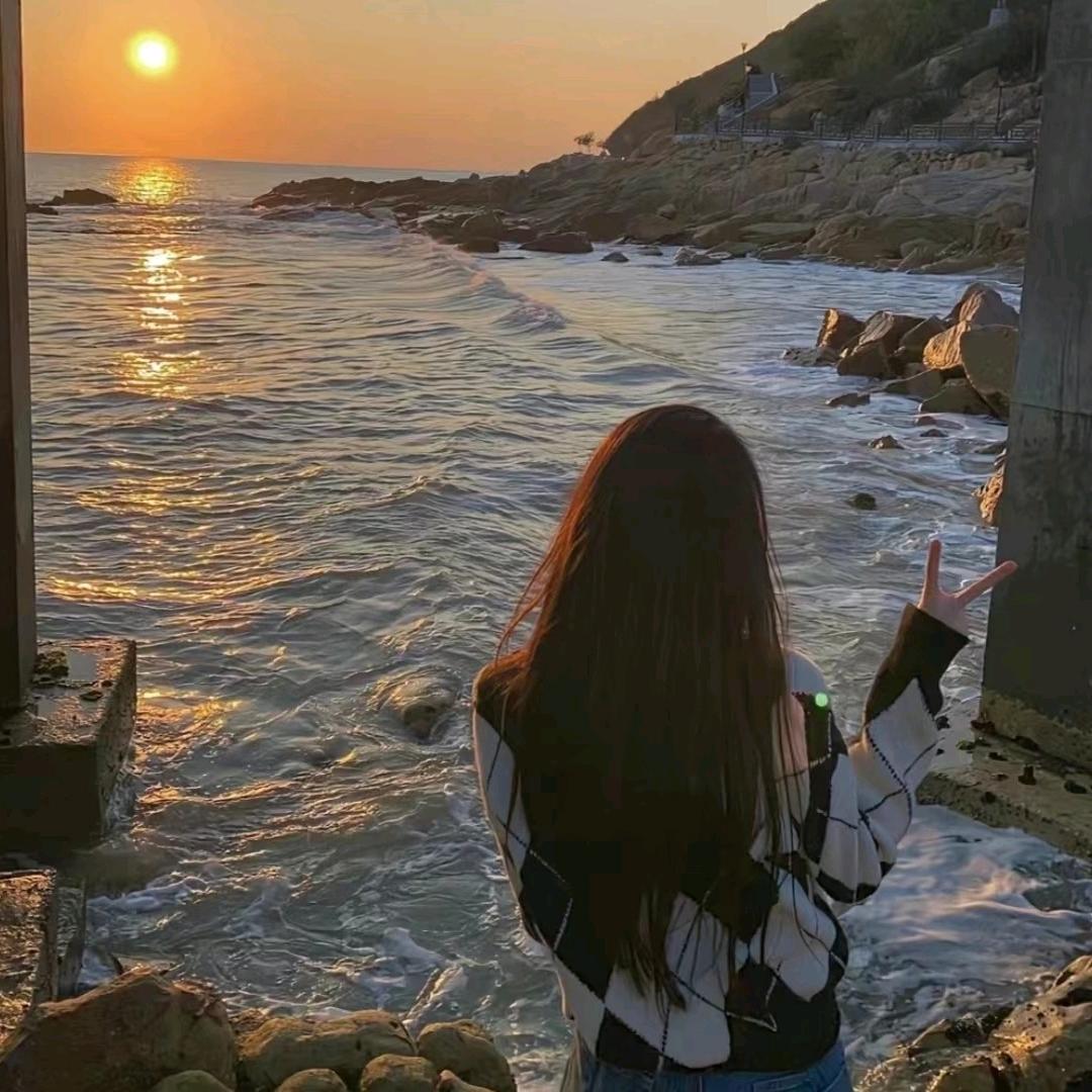 麦浪鱿游
