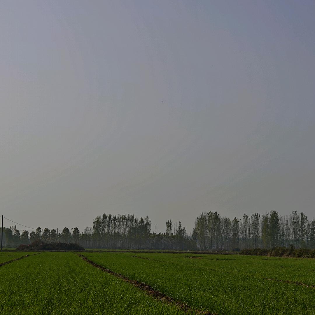 风景。