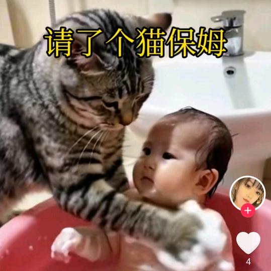 微水泥艺术漆，专注高端品质